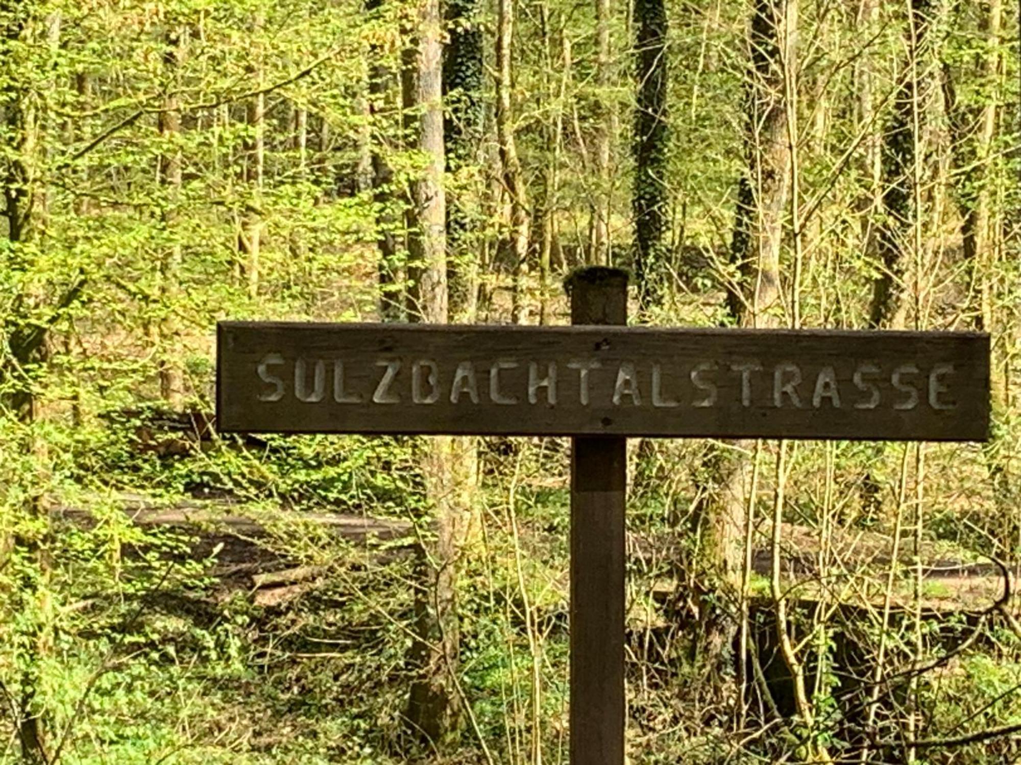 Appartement Sulzbachtal In Lahr, Naehe Europapark, Naehe Rulantica Лар Екстериор снимка